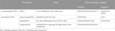 CD34 positive cells as endothelial progenitor cells in biology and medicine